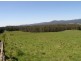 33152 Tasman Highway, Legerwood TAS 7263