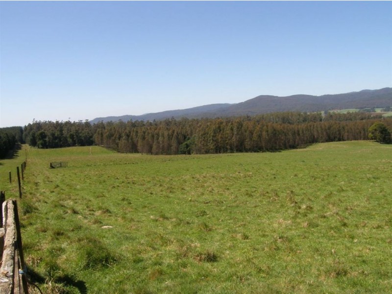 33152 Tasman Highway, Legerwood TAS 7263