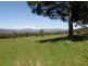 33152 Tasman Highway, Legerwood TAS 7263