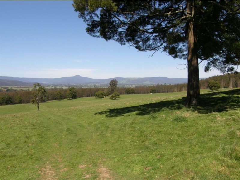 33152 Tasman Highway, Legerwood TAS 7263