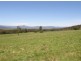 33152 Tasman Highway, Legerwood TAS 7263