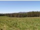 33152 Tasman Highway, Legerwood TAS 7263