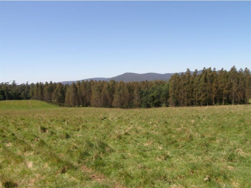 33152 Tasman Highway, Legerwood TAS 7263