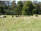 33152 Tasman Highway, Legerwood TAS 7263