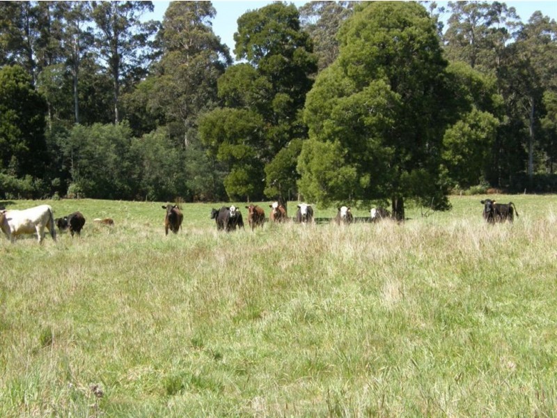 33152 Tasman Highway, Legerwood TAS 7263