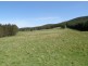 33152 Tasman Highway, Legerwood TAS 7263