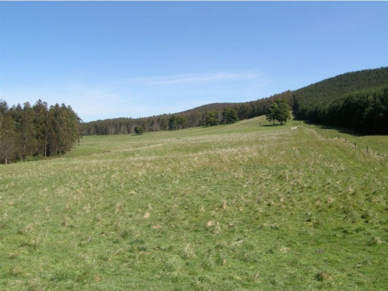 33152 Tasman Highway, Legerwood TAS 7263