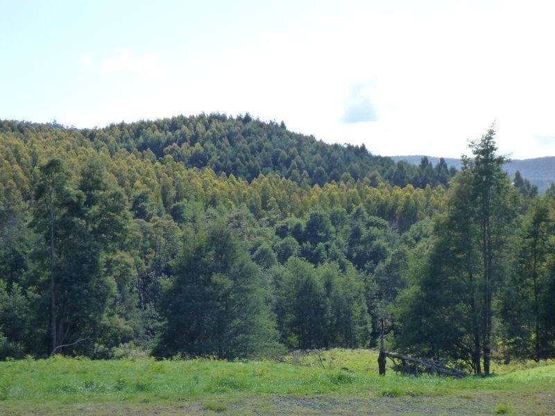 146 Smiths Road, Flowery Gully TAS 7270