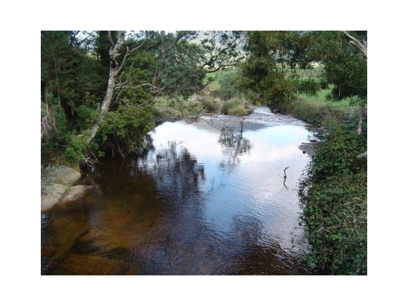 - Cuckoo Hill Road, Ringarooma TAS 7263
