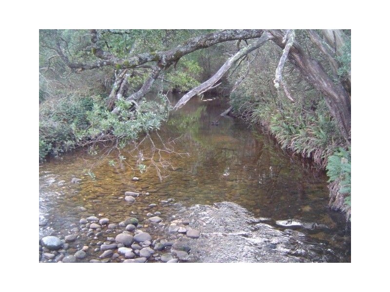 - Cuckoo Hill Road, Ringarooma TAS 7263