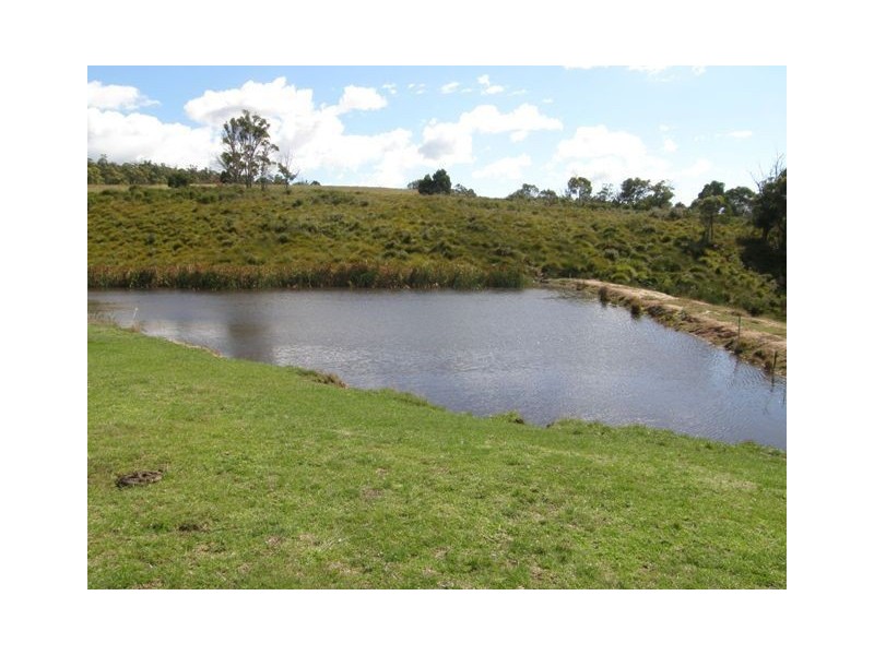 - Bridport Road, Bridport TAS 7262