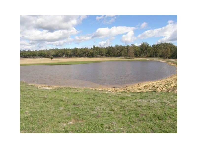 - Bridport Road, Bridport TAS 7262