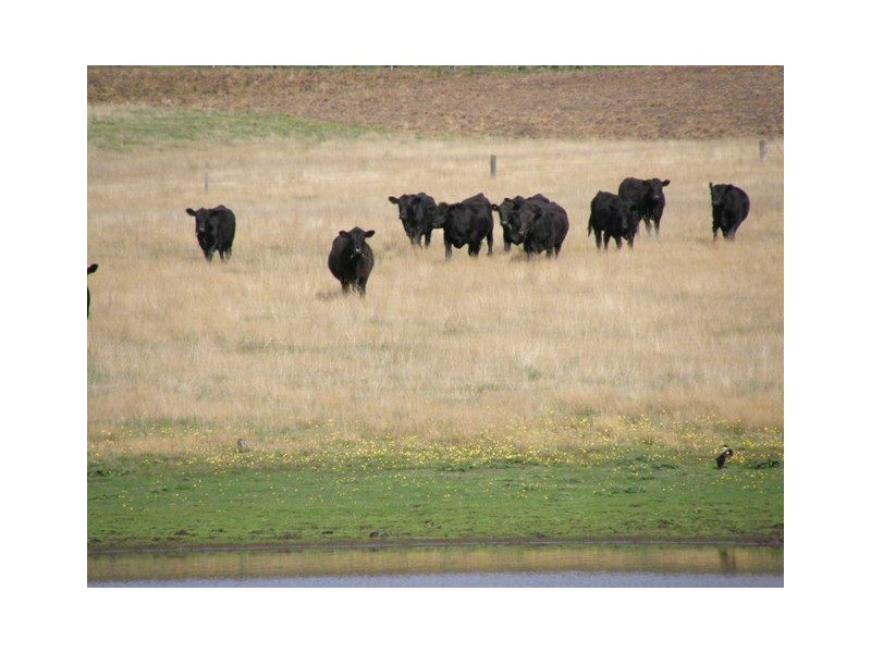 - Bridport Road, Bridport TAS 7262