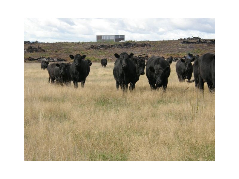 - Bridport Road, Bridport TAS 7262