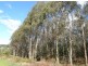 - West Maurice Road, Ringarooma TAS 7263