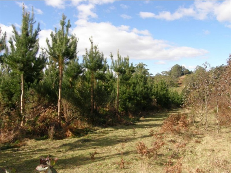 - West Maurice Road, Ringarooma TAS 7263
