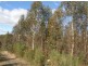 - West Maurice Road, Ringarooma TAS 7263