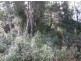 - West Maurice Road, Ringarooma TAS 7263