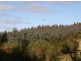 - West Maurice Road, Ringarooma TAS 7263