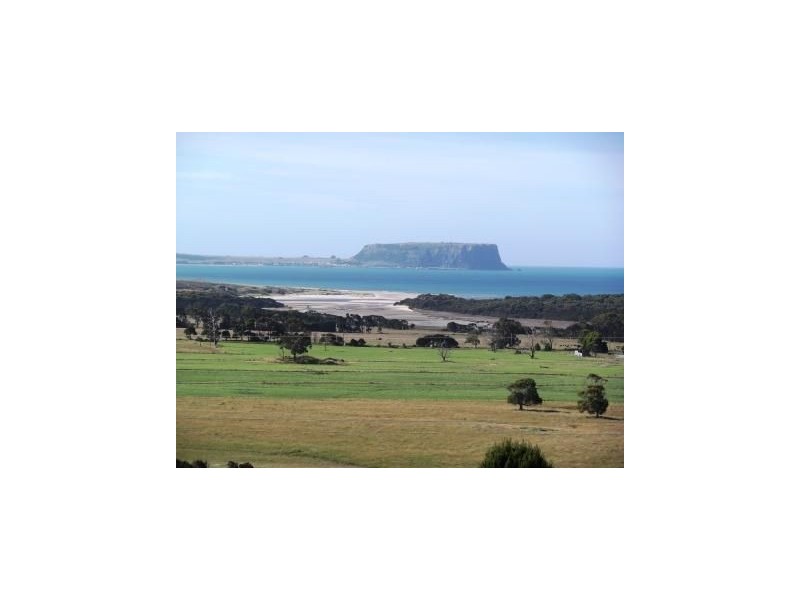 92 Medwins Road, Black River TAS 7321