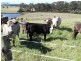92 Medwins Road, Black River TAS 7321