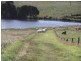 92 Medwins Road, Black River TAS 7321