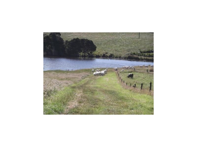 92 Medwins Road, Black River TAS 7321