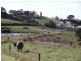 92 Medwins Road, Black River TAS 7321