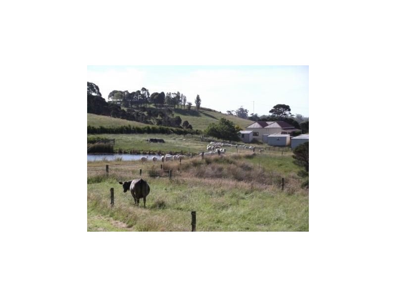 92 Medwins Road, Black River TAS 7321