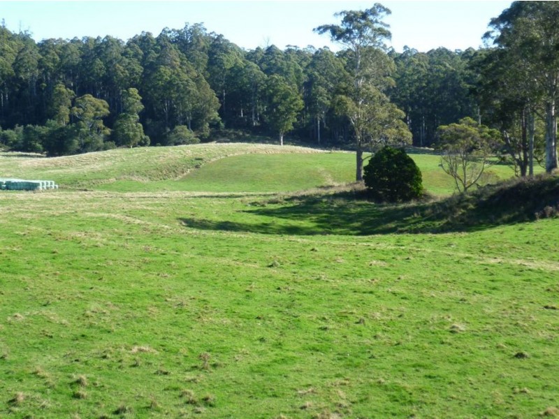 Lot 1 Mersey Forest Rd, Liena TAS 7304