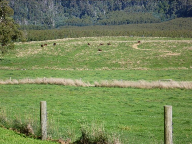 Lot 1 Mersey Forest Rd, Liena TAS 7304