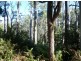Lot 1 Mersey Forest Rd, Liena TAS 7304
