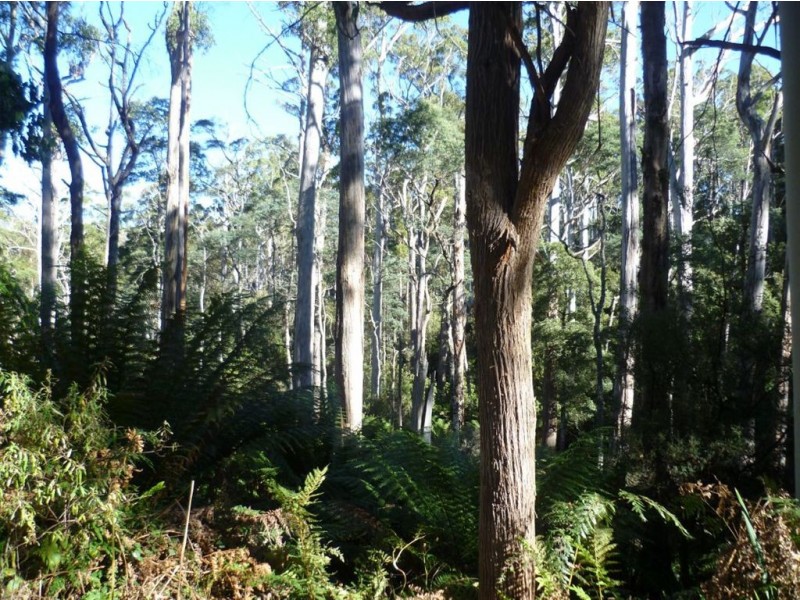 Lot 1 Mersey Forest Rd, Liena TAS 7304