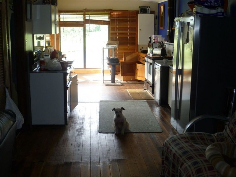 Hillstead Claude Road, Sheffield TAS 7306