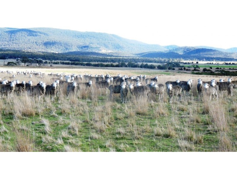 1733 Royal Rd, Royal TAS 7213 the real estate agency