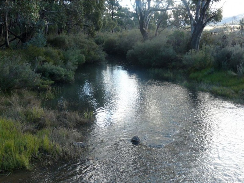 1733 Royal Rd, Royal TAS 7213 the real estate agency