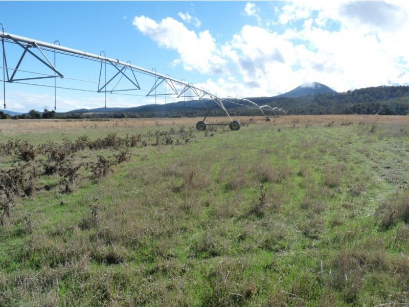 1733 Royal Rd, Royal TAS 7213 the real estate agency