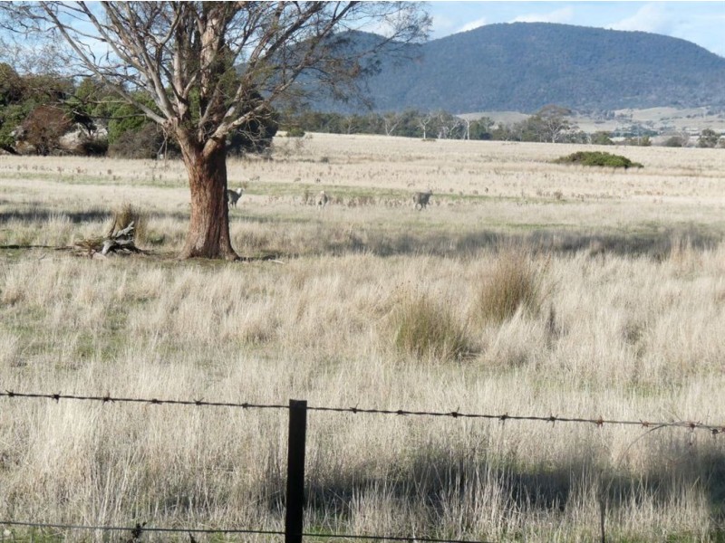 1733 Royal Rd, Royal TAS 7213 the real estate agency