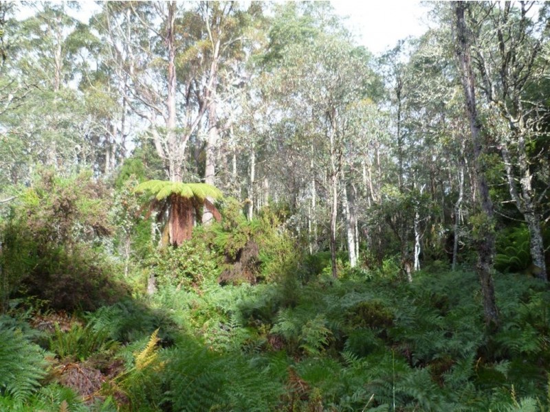 2008 Cradle Mountain Rd, Cradle Mountain TAS 7306