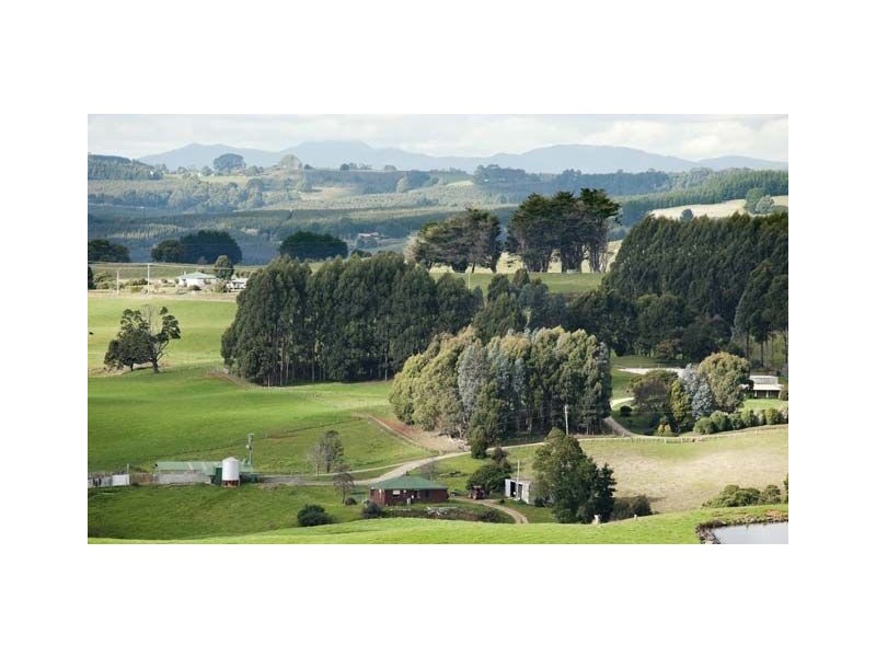 40 Mount Myrtle Rd, Elliott TAS 7325