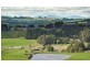 40 Mount Myrtle Rd, Elliott TAS 7325