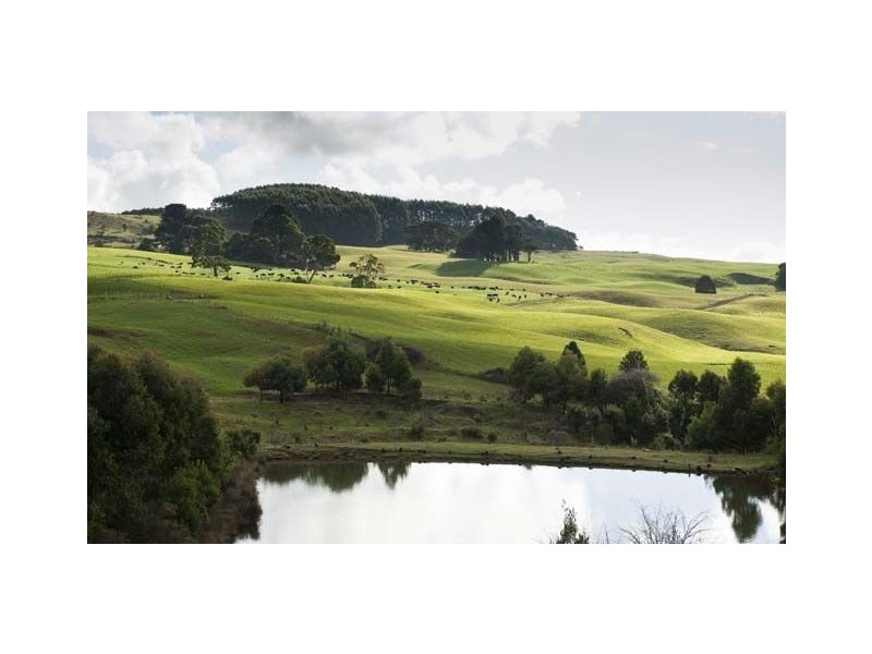 40 Mount Myrtle Rd, Elliott TAS 7325