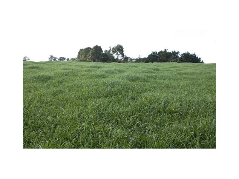 40 Mount Myrtle Rd, Elliott TAS 7325