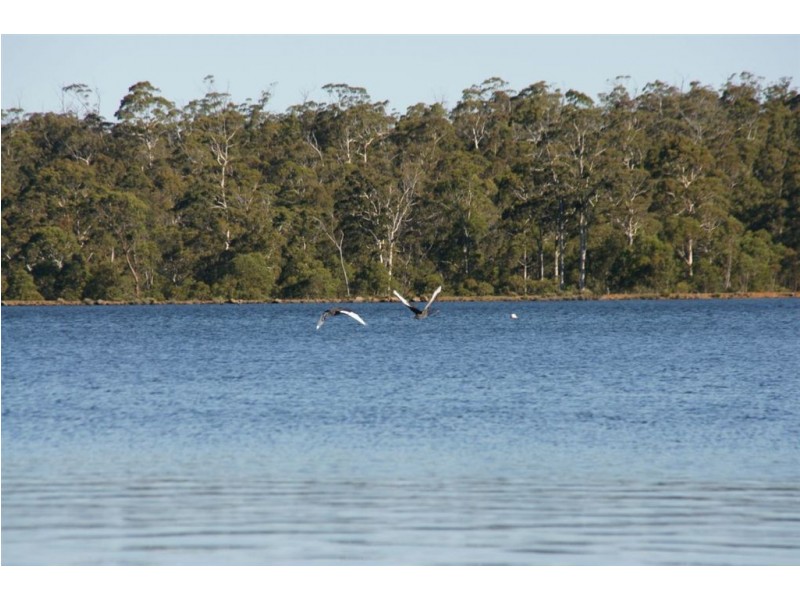 3340 Lake Leake Rd, Lake Leake TAS 7210