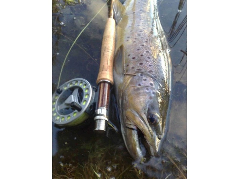 3340 Lake Leake Rd, Lake Leake TAS 7210