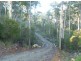 186 Mountain Rd, Lilydale TAS 7268