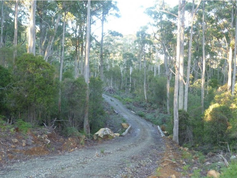 186 Mountain Rd, Lilydale TAS 7268