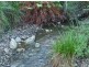 186 Mountain Rd, Lilydale TAS 7268