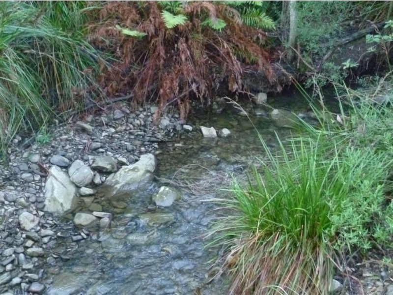 186 Mountain Rd, Lilydale TAS 7268