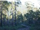 186 Mountain Rd, Lilydale TAS 7268